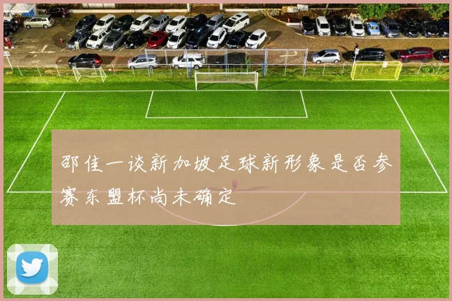 邵佳一谈新加坡足球新形象是否参赛东盟杯尚未确定